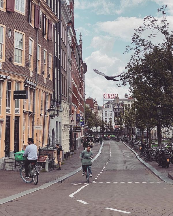 A Birthday Weekend in Amsterdam: Experiencing the Charms of the Dutch Capital